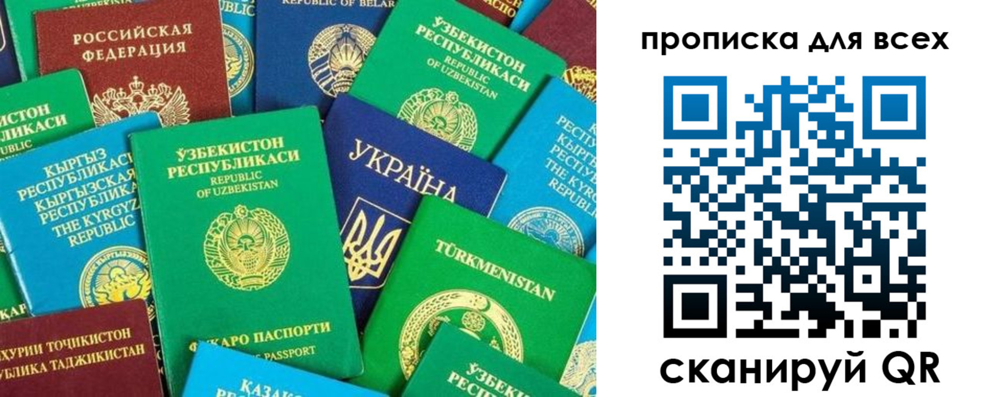 прописка в квартире в Чкаловске